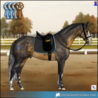 Horse Color:Buckskin 