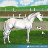 Horse Color:White Spotted Silver Buckskin Pearl Dun Splash 