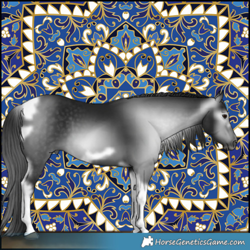 Horse Color:Gray Black Tobiano Frame 