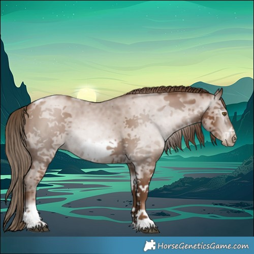 Horse Color:Gray Black Pearl Sabino Tobiano Frame