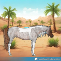 Horse Color:Liver Red Roan Tobiano 