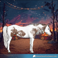 Horse Color:Silver Black Splash Tobiano 