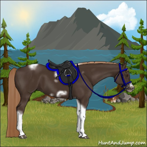 Horse Color:Liver Chestnut Tobiano Frame 