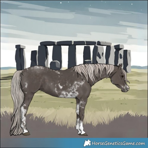 Horse Color:Silver Black Tobiano