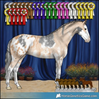 Horse Color:Black Sabino Splash Varnish Rabicano  and Chestnut Sabino Splash Blanket Rabicano 