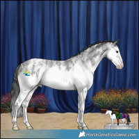 Horse Color:Black Ice Sabino Splash Appaloosa Rabicano 