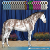 Horse Color:Liver Chestnut Sabino Splash
