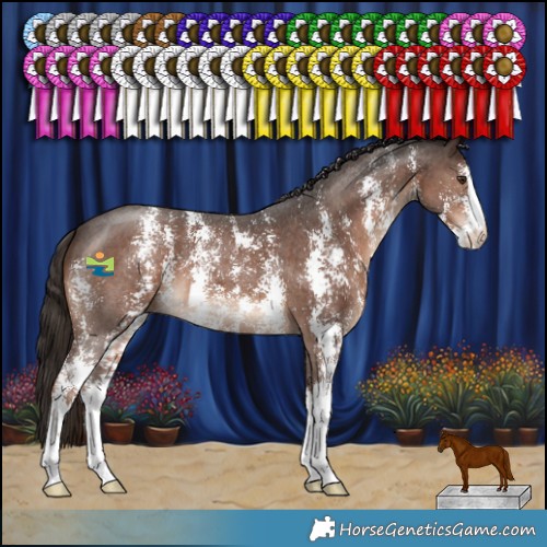 Horse Color:Liver Chestnut Sabino 