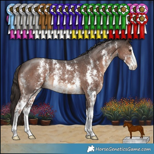 Horse Color:Liver Chestnut Sabino 
