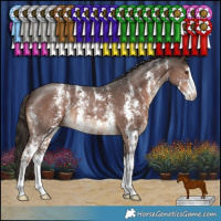 Horse Color:Liver Chestnut Sabino 