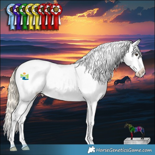 Horse Color:Red Dun Ice Splash Tobiano Appaloosa Rabicano 