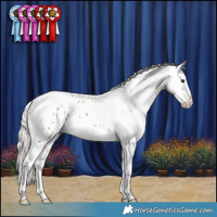 Horse Color:Silver Bay Dun Splash Tobiano Blanket Rabicano 