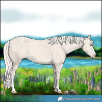 Horse Color:Cremello Dun Varnish 