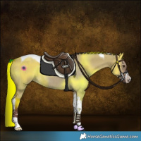 Horse Color:White Spotted Liver Red Dun Tobiano Rabicano