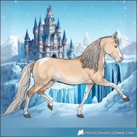 Horse Color:Silver Bay Dun Splash Tobiano 