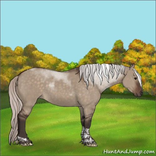 Horse Color:Silver Brown Dun Tobiano Rabicano 