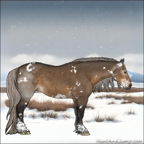 Horse Color:Gray White Spotted Silver Brown Dun Tobiano 