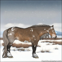 Horse Color:Gray White Spotted Silver Brown Dun Tobiano 
