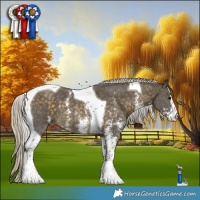 Horse Color:Silver Buckskin Sabino Tobiano