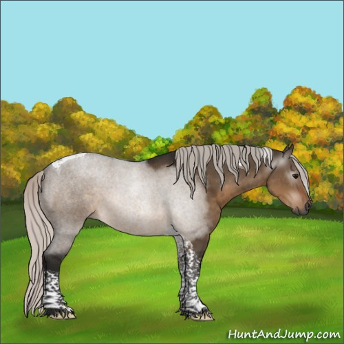 Horse Color:Gray Silver Brown Dun Tobiano 