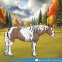 Horse Color:Silver Brown Dun Splash Tobiano 