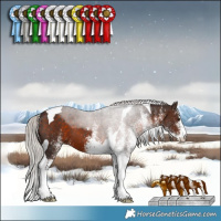 Horse Color:White Spotted Silver Brown Tobiano