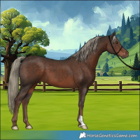 Horse Color:Liver Chestnut Mushroom 