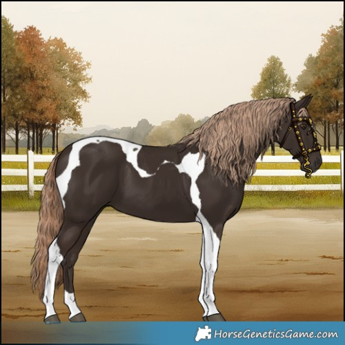 Horse Color:Liver Chestnut Tobiano 