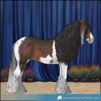 Horse Color:Brown Tobiano Frame 