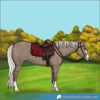 Horse Color:Silver Grullo 