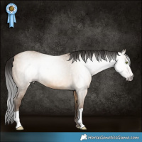 Horse Color:Gray Amber Champagne Dun 