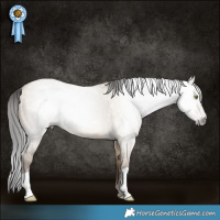 Horse Color:Gray Amber Champagne Dun 
