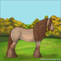 Horse Color:Red Dun 