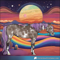 Horse Color:Painted White Spotted Silver Brown Dun Sabino Rabicano 