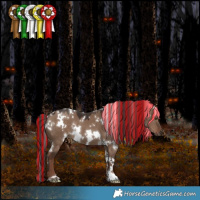 Horse Color:Painted White Spotted Liver Red Dun 