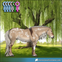 Horse Color:Gray White Spotted Liver Red Dun Mushroom 