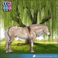 Horse Color:Gray White Spotted Liver Red Dun Mushroom