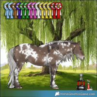 Horse Color:White Spotted Silver Brown Dun Mushroom