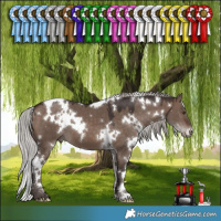 Horse Color:White Spotted Silver Brown Dun Mushroom 