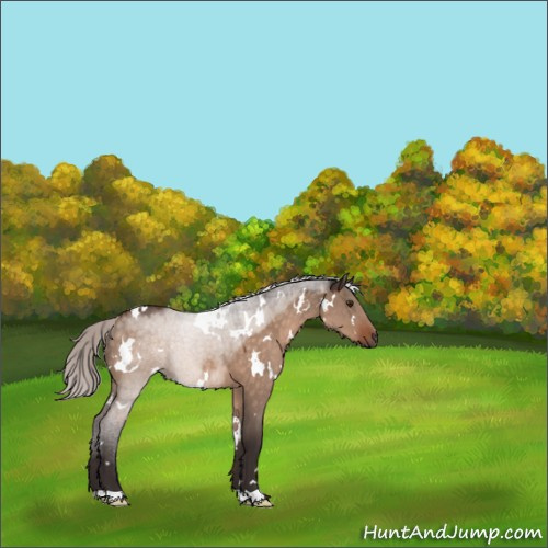 Horse Color:White Spotted Silver Brown Dun Mushroom 