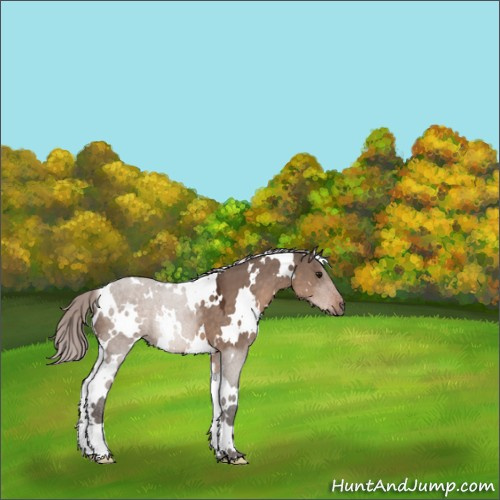 Horse Color:White Spotted Silver Brown Dun Mushroom 