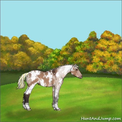 Horse Color:Painted White Spotted Silver Brown Dun 