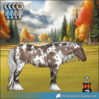 Horse Color:White Spotted Silver Brown Dun Mushroom 