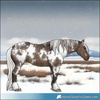 Horse Color:White Spotted Silver Brown Dun Brindle 