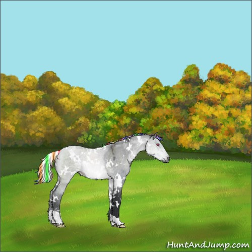 Horse Color:Painted White Spotted Silver Brown Chinchilla Dun Sabino 