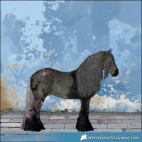 Horse Color:Void Watercolor White Spotted Silver Brown Chinchilla Dun Appaloosa