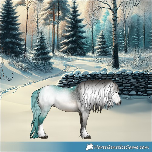 Horse Color:Gray Brown Dun Tobiano 