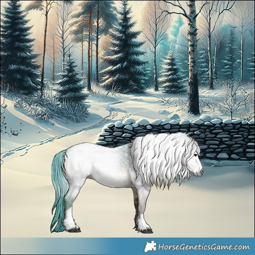 Horse Color:Gray Brown Dun Tobiano 