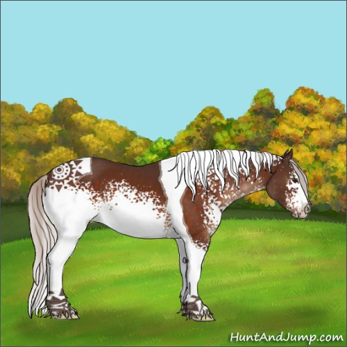 Horse Color:White Spotted Silver Brown Tobiano 