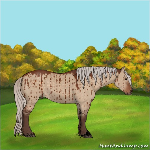 Horse Color:Void Silver Bay Dun Sabino Brindle 